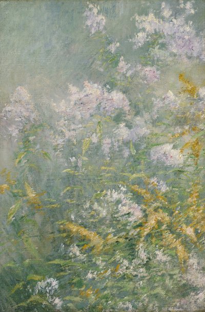 Weidebloemen (Guldenroede en Wilde Aster) door John Henry Twachtman